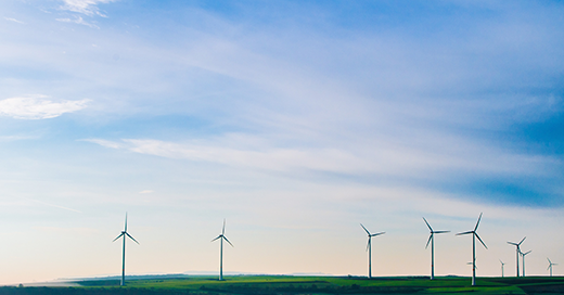 Etiquetas de inversión sostenible: ¡bienvenidos a la jungla!